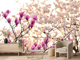 photo-wallpaper-beautiful-magnolia-xl