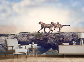 photo-wallpaper-two-cheetahs