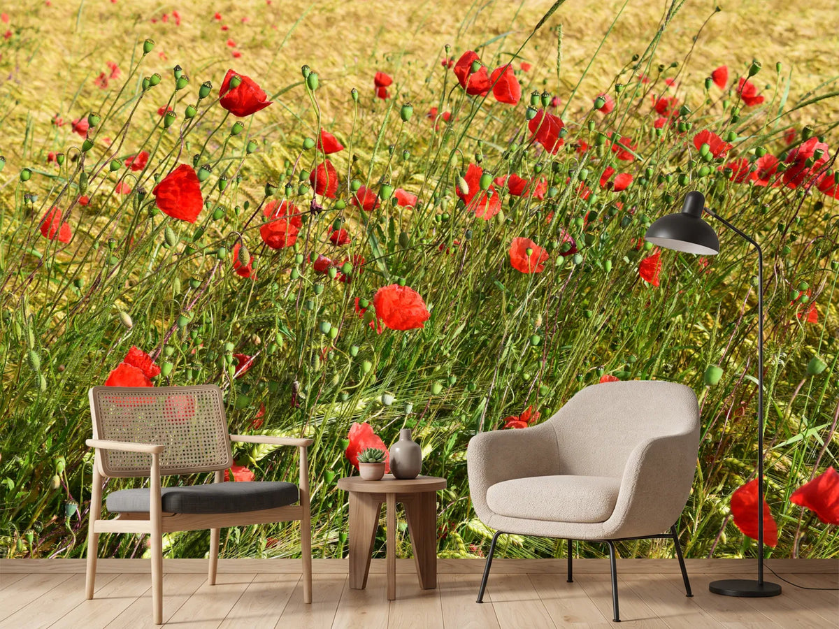 photo-wallpaper-the-poppy-in-the-wind
