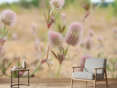 photo-wallpaper-delicate-flowers