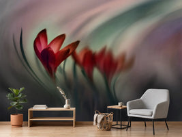 photo-wallpaper-krokus