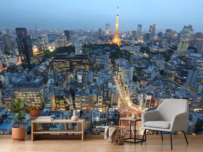 photo-wallpaper-paris-in-the-evening