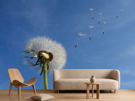 photo-wallpaper-dandelion-i-wish-for-something