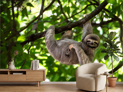 photo-wallpaper-relaxed-hanging-out