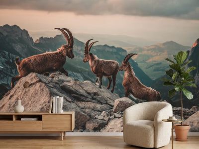 photo-wallpaper-ibexes-in-the-swiss-alps