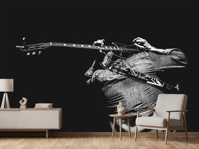 photo-wallpaper-the-guitar-game