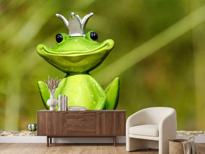 photo-wallpaper-mr-frog-king