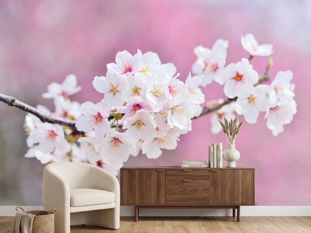 photo-wallpaper-cherry-blossoms-xxl