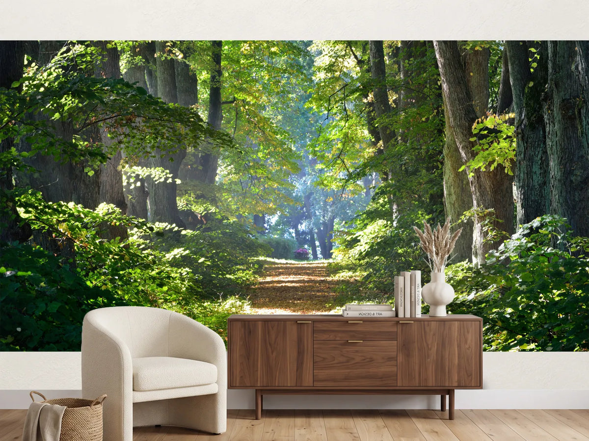 photo-wallpaper-road-in-a-beautiful-forest-in-the-morning