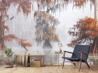 photo-wallpaper-mysty-bayou-x