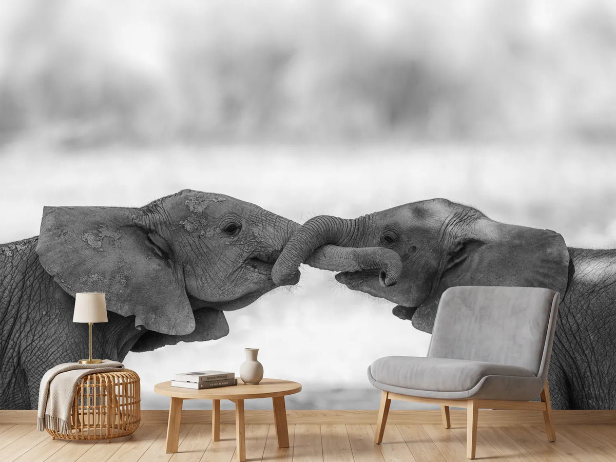 photo-wallpaper-greetings-x