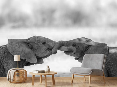 photo-wallpaper-greetings-x