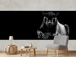 photo-wallpaper-jaguar-with-a-black-background