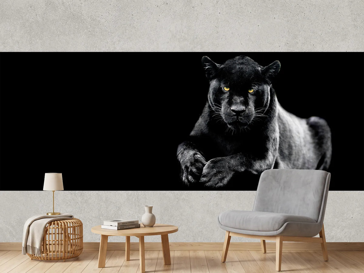 photo-wallpaper-jaguar-with-a-black-background