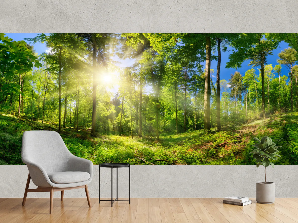 photo-wallpaper-sunlit-deciduous-woodland-with-sunbeams-through-fresh-green-leaves