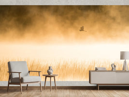photo-wallpaper-golden-morning-flight