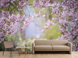 photo-wallpaper-in-the-beautiful-spring