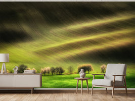 photo-wallpaper-sunlit-spring-hills