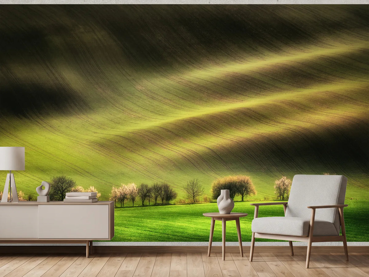 photo-wallpaper-sunlit-spring-hills