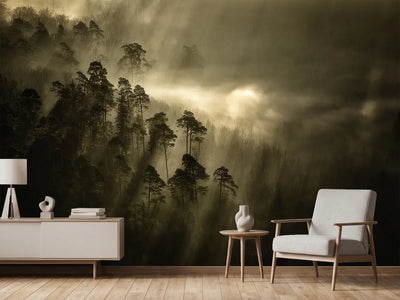 photo-wallpaper-streiflichter