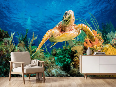 photo-wallpaper-turtle-in-the-reef