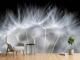 photo-wallpaper-blow-it-x