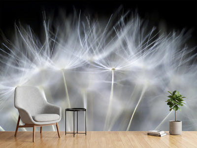 photo-wallpaper-blow-it-x