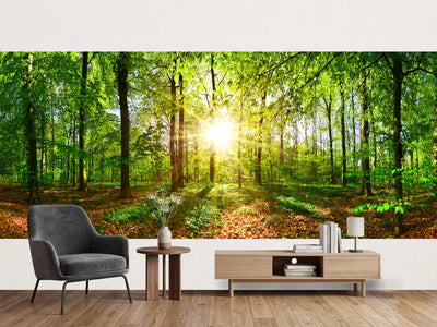photo-wallpaper-beautiful-forest-in-spring-with-bright-sun-shining-through-the-trees