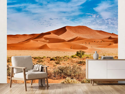 photo-wallpaper-desert-of-namib-with-orange-dunes