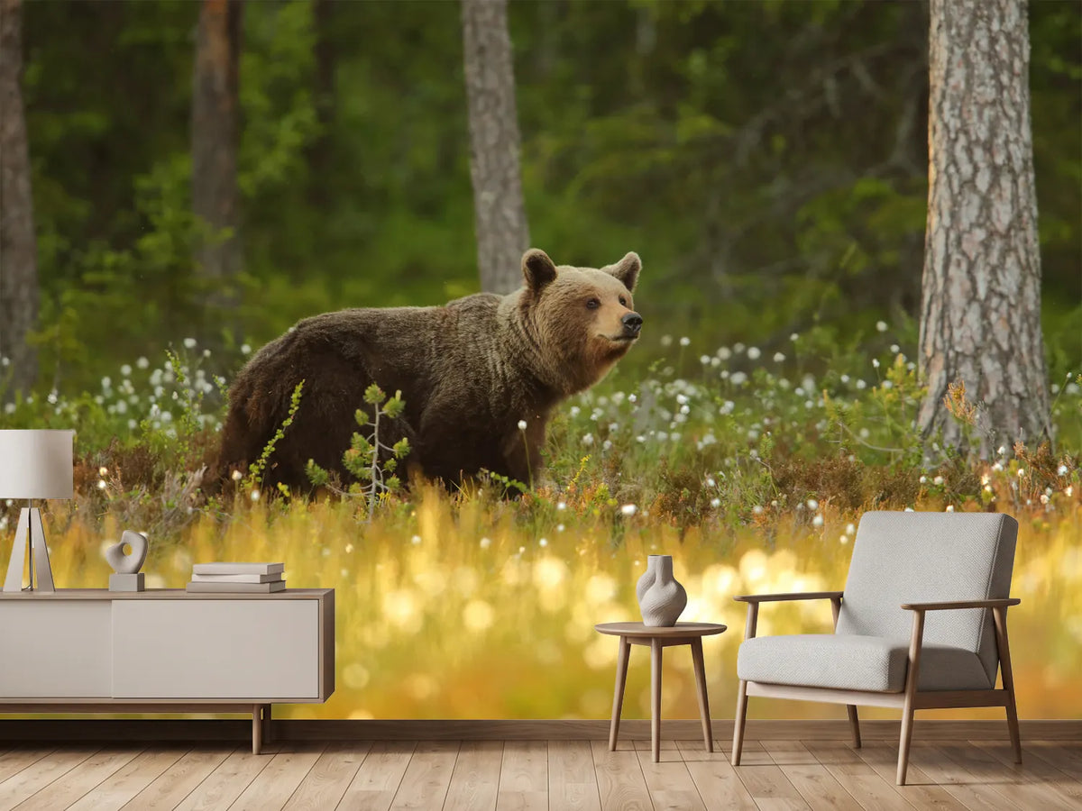 photo-wallpaper-brown-bear-x