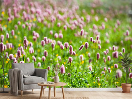 photo-wallpaper-clover