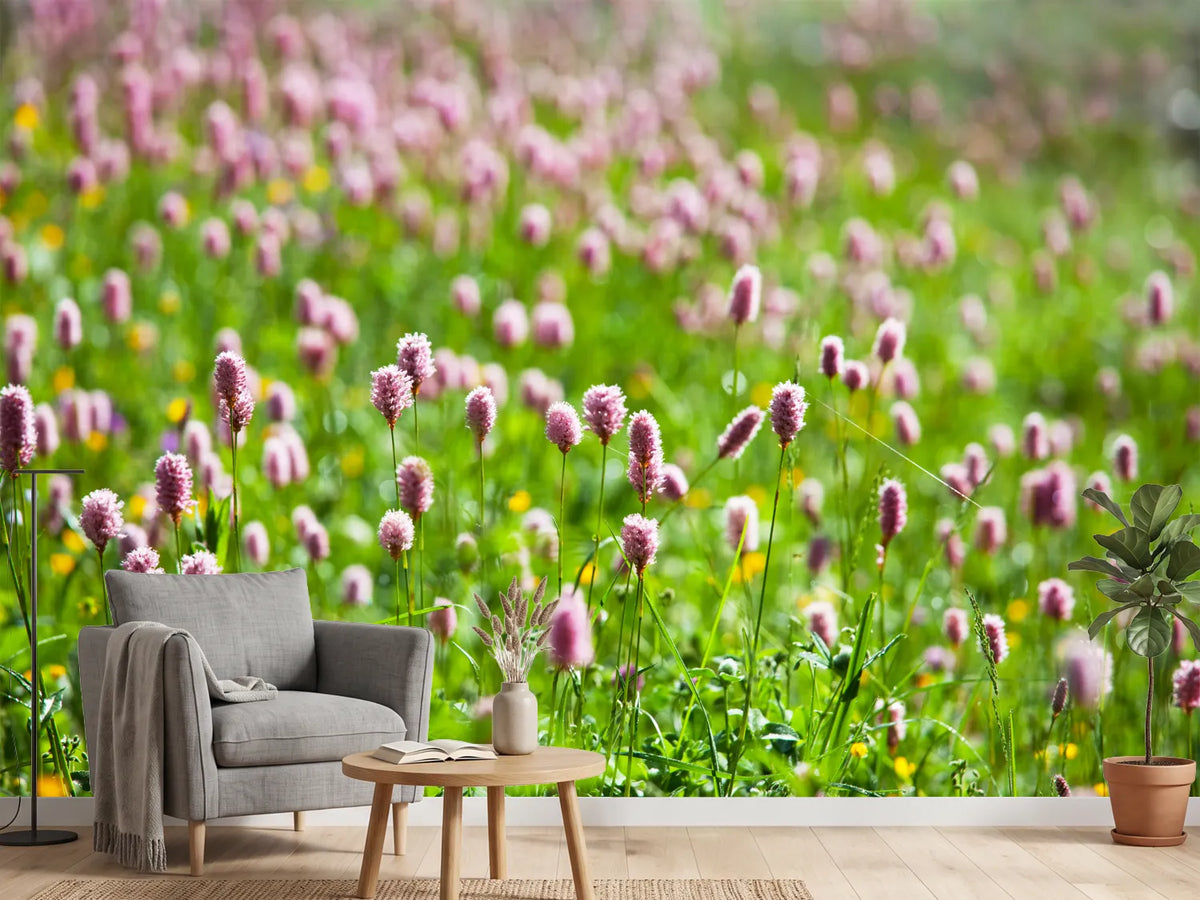 photo-wallpaper-clover