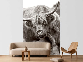 photo-wallpaper-the-bull-x