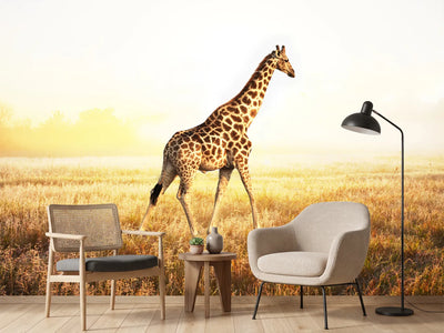 photo-wallpaper-the-giraffe