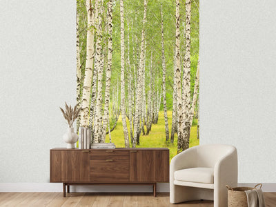 photo-wallpaper-the-birch-forest-in-late-summer