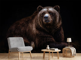 photo-wallpaper-bear-portrait-xav