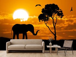 photo-wallpaper-dreamy-africa