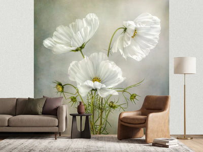 photo-wallpaper-cosmos-charm