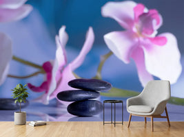 photo-wallpaper-hot-stones