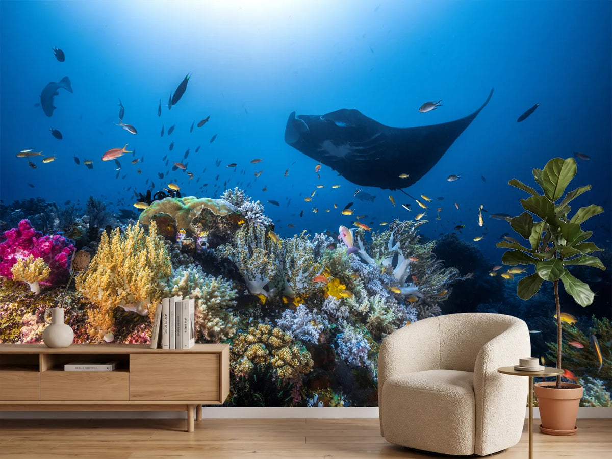 photo-wallpaper-manta-reef-on-the-reef-x