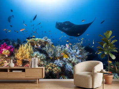 photo-wallpaper-manta-reef-on-the-reef-x