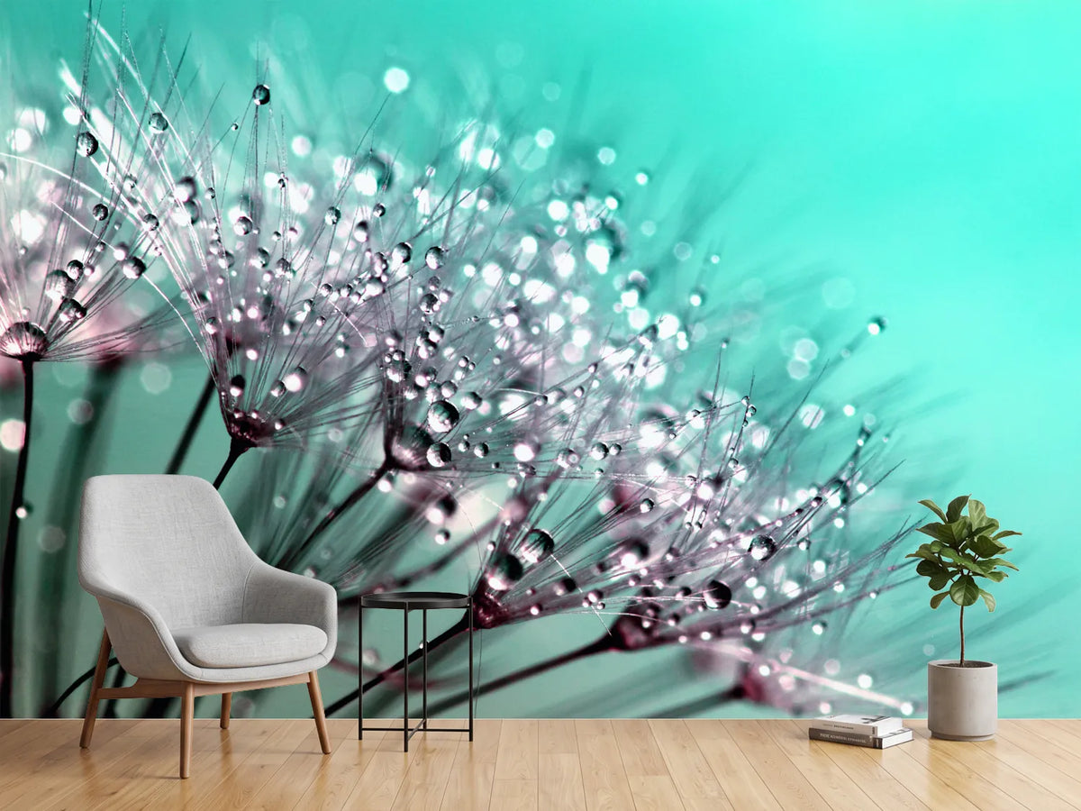 photo-wallpaper-macro-dandelion-p