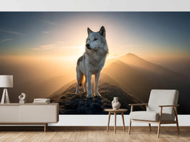 photo-wallpaper-majestic-white-wolf-standing-on-mountain-peak-at-sunset