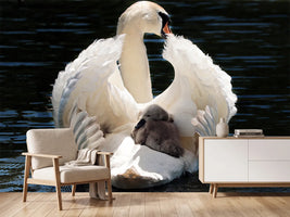 photo-wallpaper-mom-and-baby-swan
