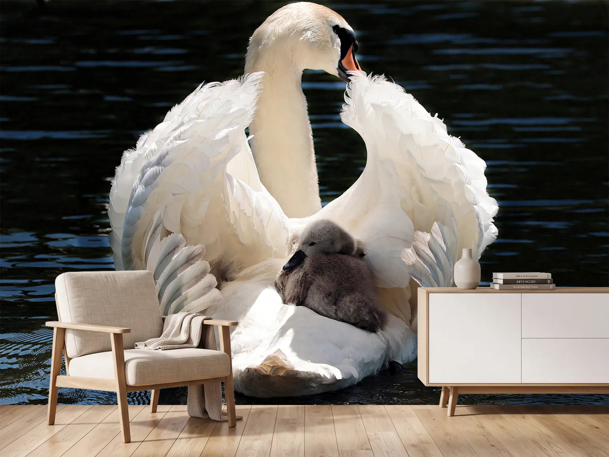 photo-wallpaper-mom-and-baby-swan