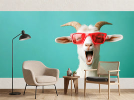 photo-wallpaper-laughing-goat-in-red-sunglasses-against-turquoise