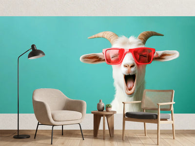 photo-wallpaper-laughing-goat-in-red-sunglasses-against-turquoise