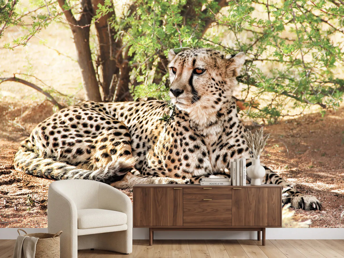 photo-wallpaper-sun-cheetah