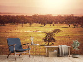 photo-wallpaper-picturesque-africa