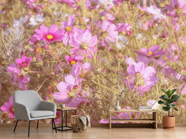 photo-wallpaper-the-jewelry-basket-cosmea